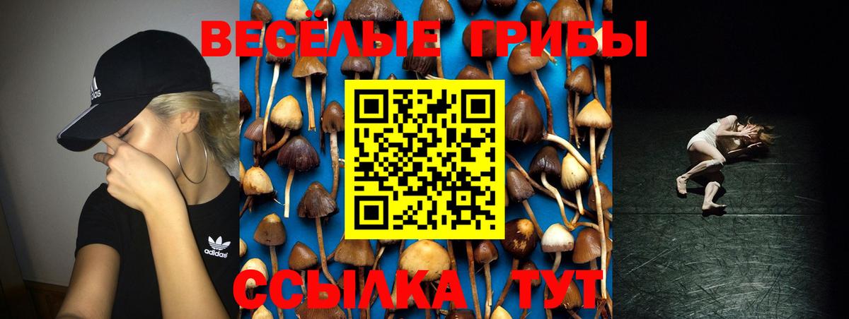 Псилоцибиновые грибы Psilocybine cubensis  Вход с VPN  Галлюциногенные грибы MAGIC MUSHROOMS  Волгоград 