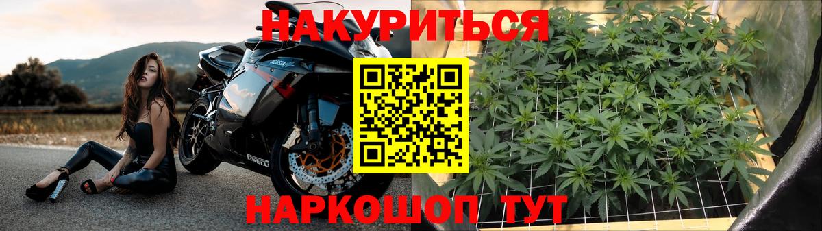 Бошки Шишки семена Волгоград